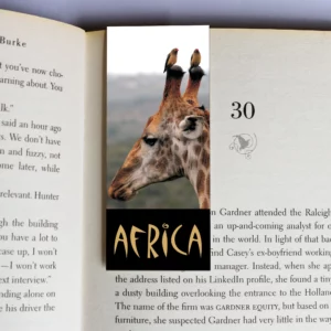wholesale-mag-mark-bookmarks-323