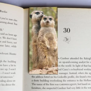 wholesale-mag-mark-bookmarks-324