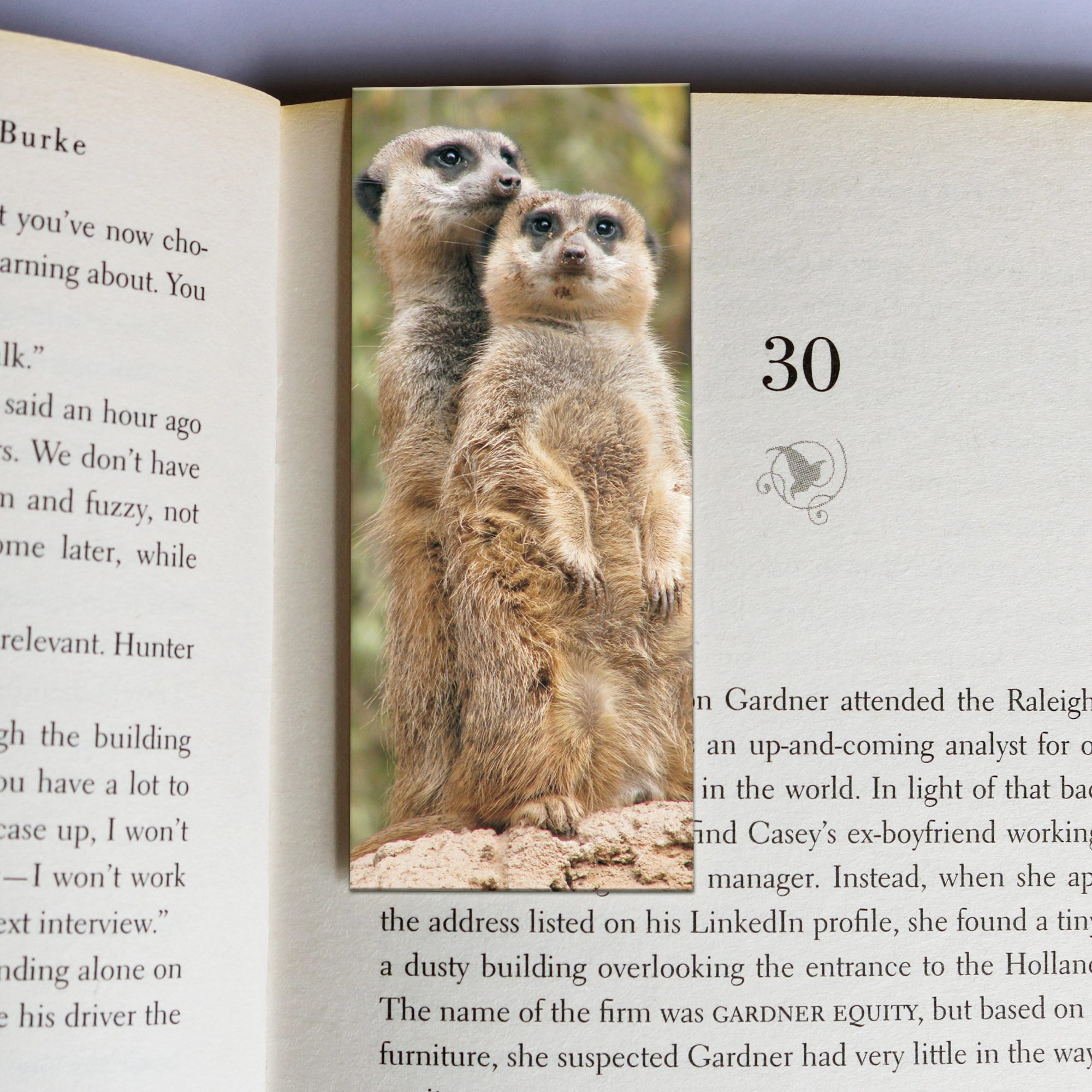324 wholesale-mag-mark-bookmarks-324