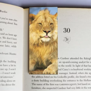 wholesale-mag-mark-bookmarks-326