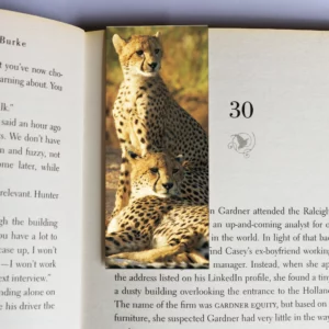 wholesale-mag-mark-bookmarks-328
