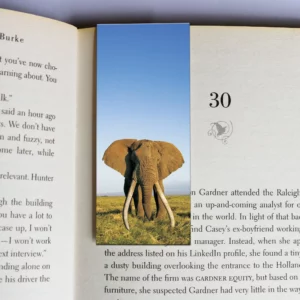 wholesale-mag-mark-bookmarks-333