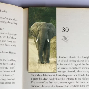 wholesale-mag-mark-bookmarks-357