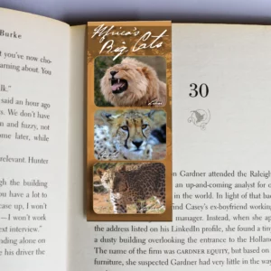 wholesale-mag-mark-bookmarks-362