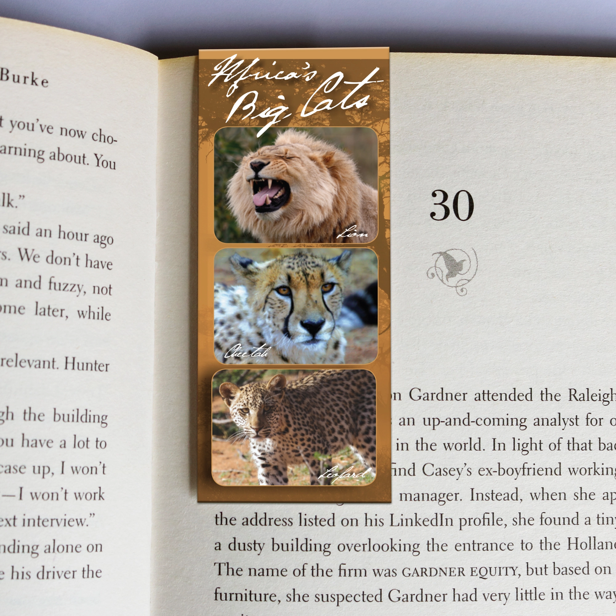 362 wholesale-mag-mark-bookmarks-362