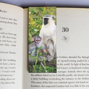 wholesale-mag-mark-bookmarks-366