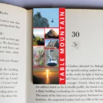 wholesale-mag-mark-bookmarks-371