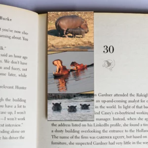 wholesale-mag-mark-bookmarks-375