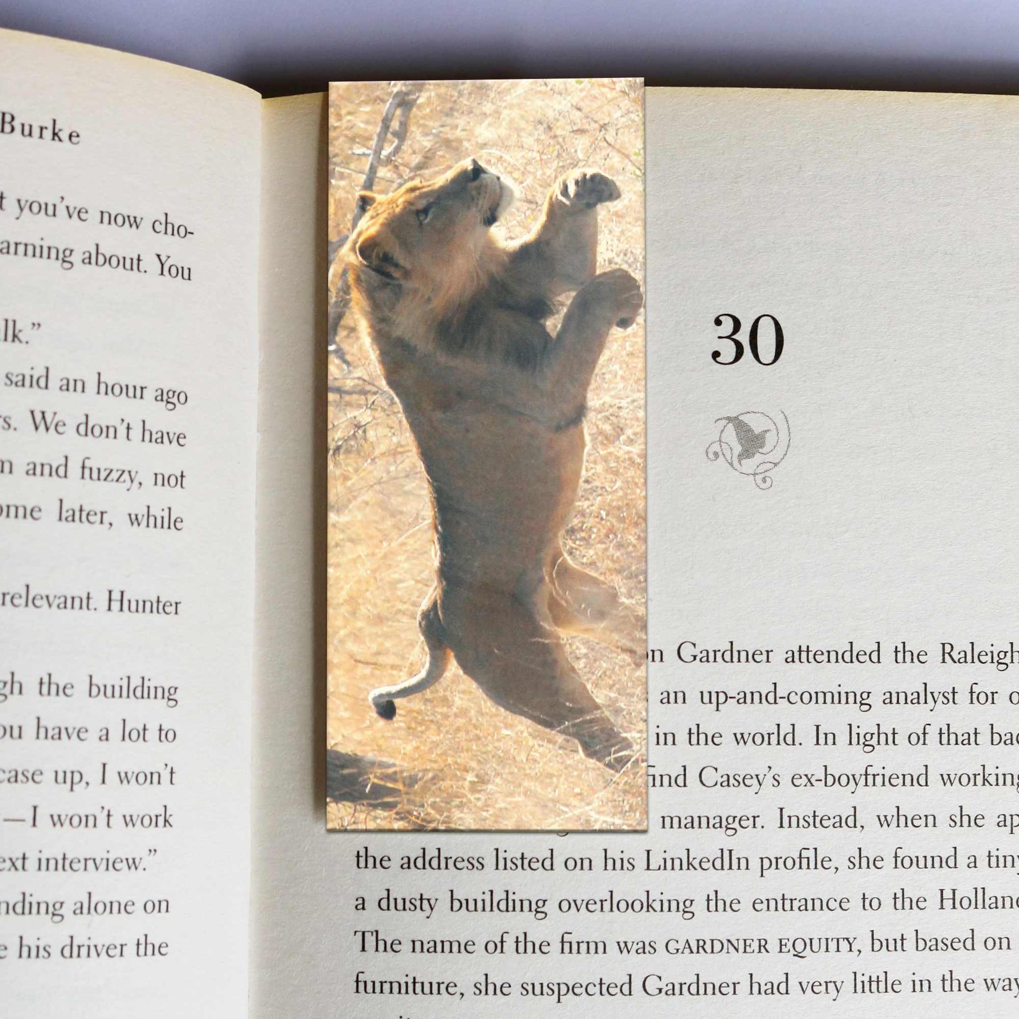377 wholesale-mag-mark-bookmarks-377