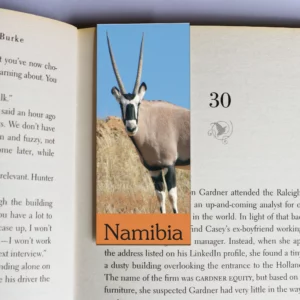 wholesale-mag-mark-bookmarks-381