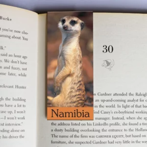 wholesale-mag-mark-bookmarks-382
