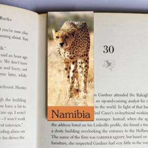 wholesale-mag-mark-bookmarks-384