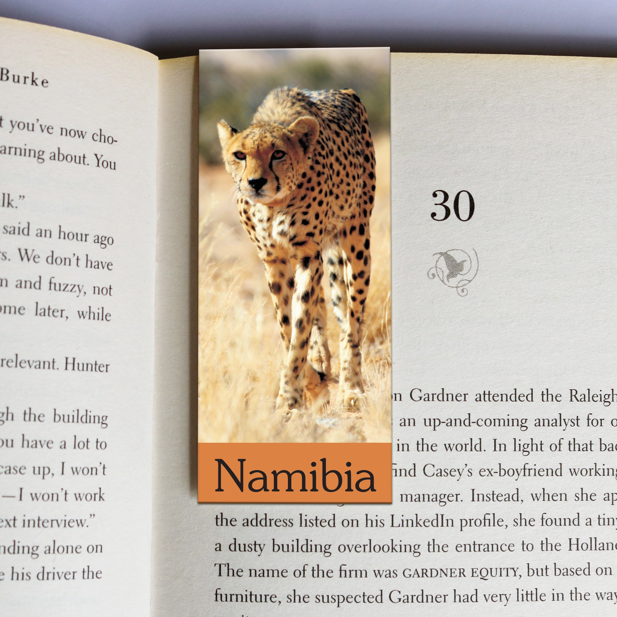 384 wholesale-mag-mark-bookmarks-384
