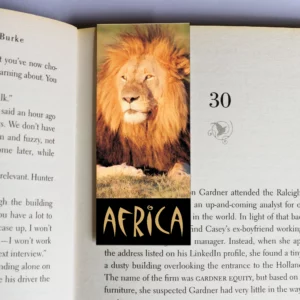 wholesale-mag-mark-bookmarks-385