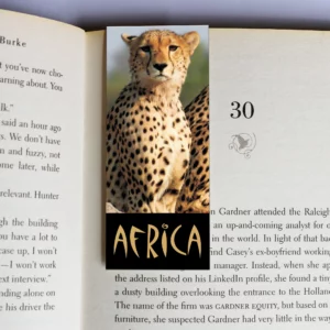 wholesale-mag-mark-bookmarks-387