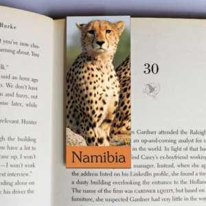 wholesale-mag-mark-bookmarks-391