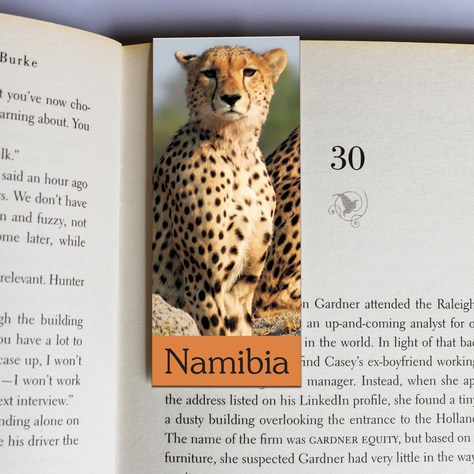 391 wholesale-mag-mark-bookmarks-391