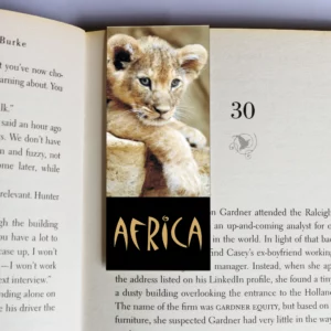 wholesale-mag-mark-bookmarks-57