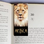 wholesale-mag-mark-bookmarks-58
