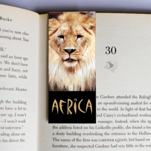wholesale-mag-mark-bookmarks-58