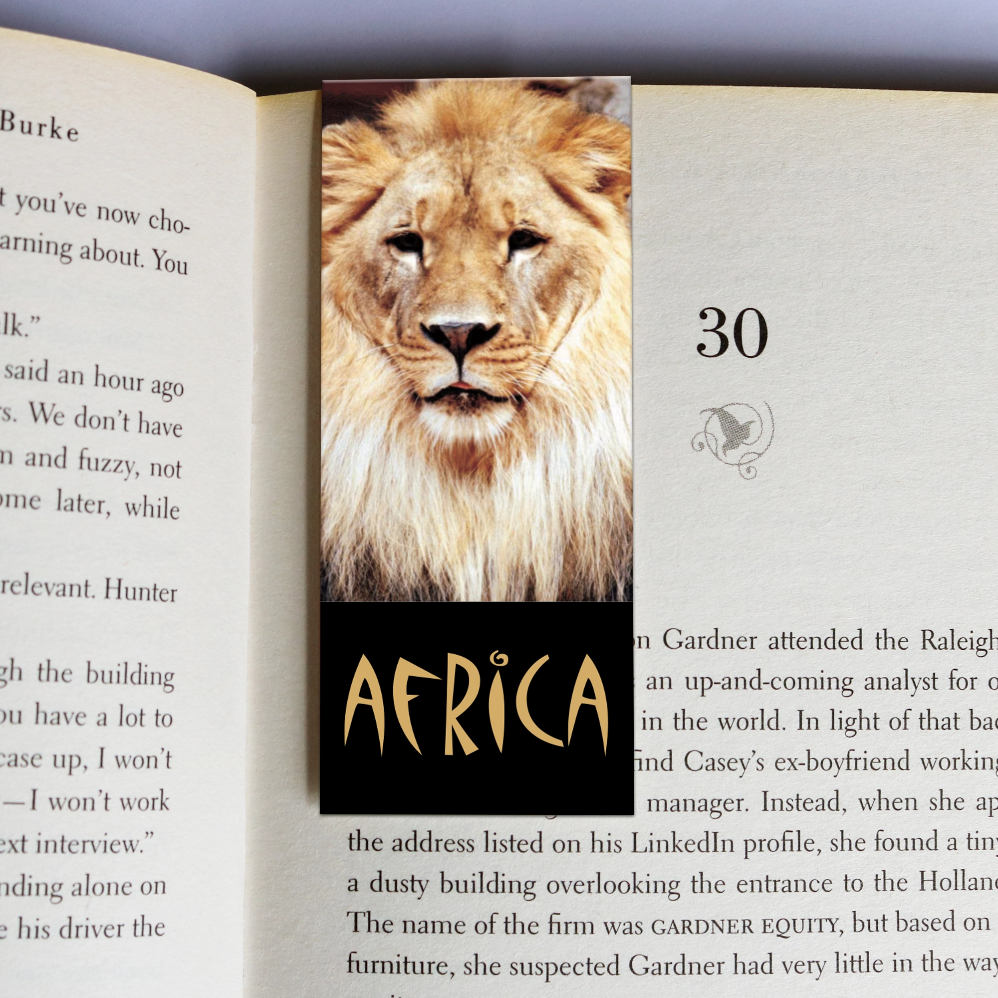 58 wholesale-mag-mark-bookmarks-58