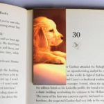 wholesale-mag-mark-bookmarks-99