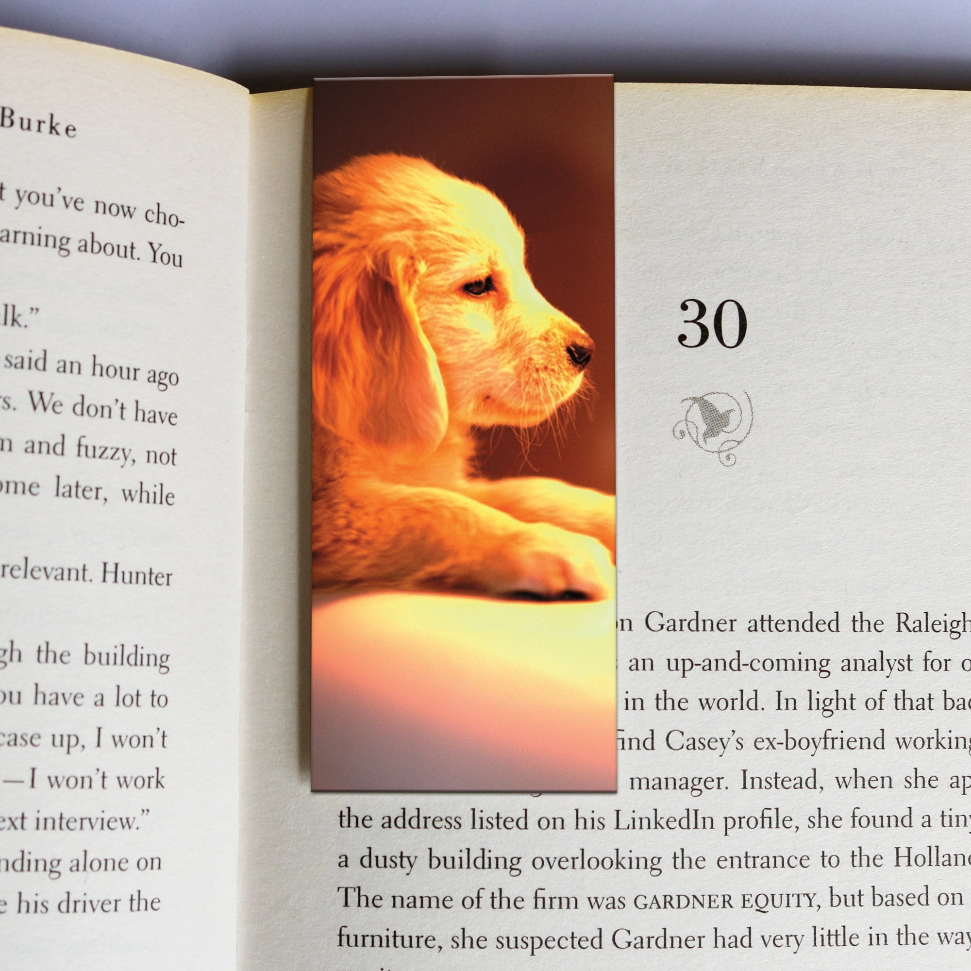 99 wholesale-mag-mark-bookmarks-99