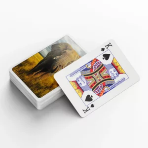 Playing Cards