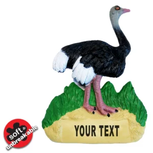 sasgo flexi magnet south africa name drop ostrich 105 676