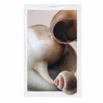 sasgo small gifting cards south africa fs01